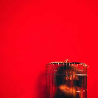 The album art for Eryn Allen Kane's Aviary: Act II EP