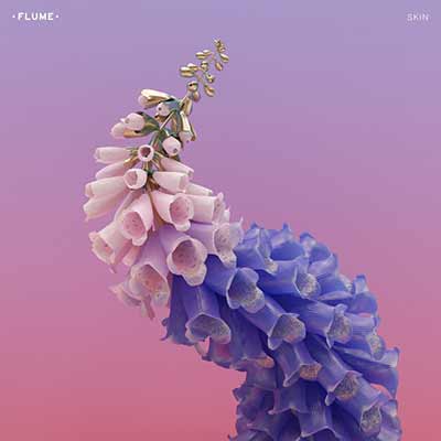 The album art for Flume's Skin