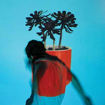 The album art for Local Natives' Sunlit Youth