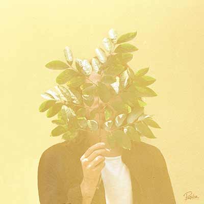 The album art for FKJ's French Kiwi Juice